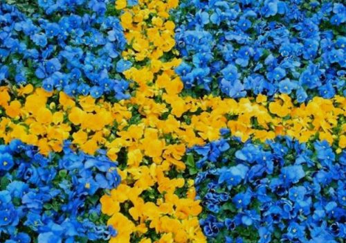 Svenska flaggans dag